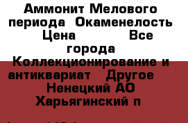 Аммонит Мелового периода. Окаменелость. › Цена ­ 2 800 - Все города Коллекционирование и антиквариат » Другое   . Ненецкий АО,Харьягинский п.